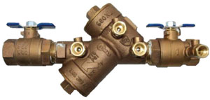 Backflow
                                      Devices & Rain Gauges Must Be
                                      Tested