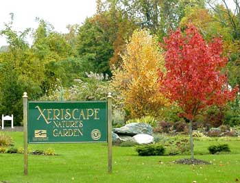 Xeriscape